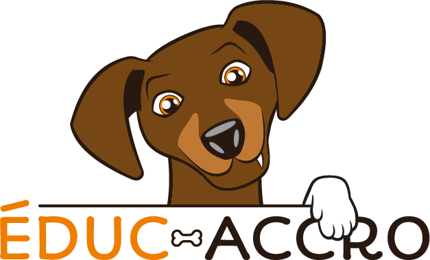 Logo Educ-Accro